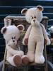 fb XXL Funny Bear Basic