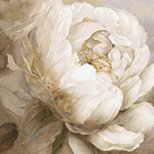 Peony Poses