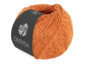 lg diversa 21