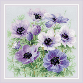 riolis purple anemones