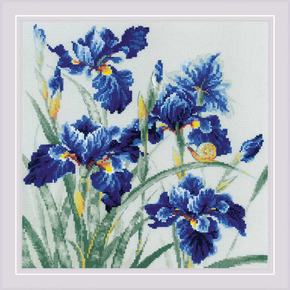 Riolis Blue Irises 30 op 30 cm