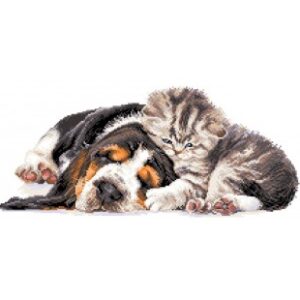 voorbedrukt aida baby hond&kat