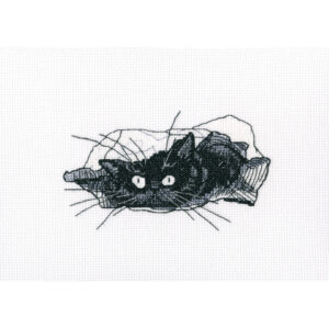 Kruissteekpakket Among black cats