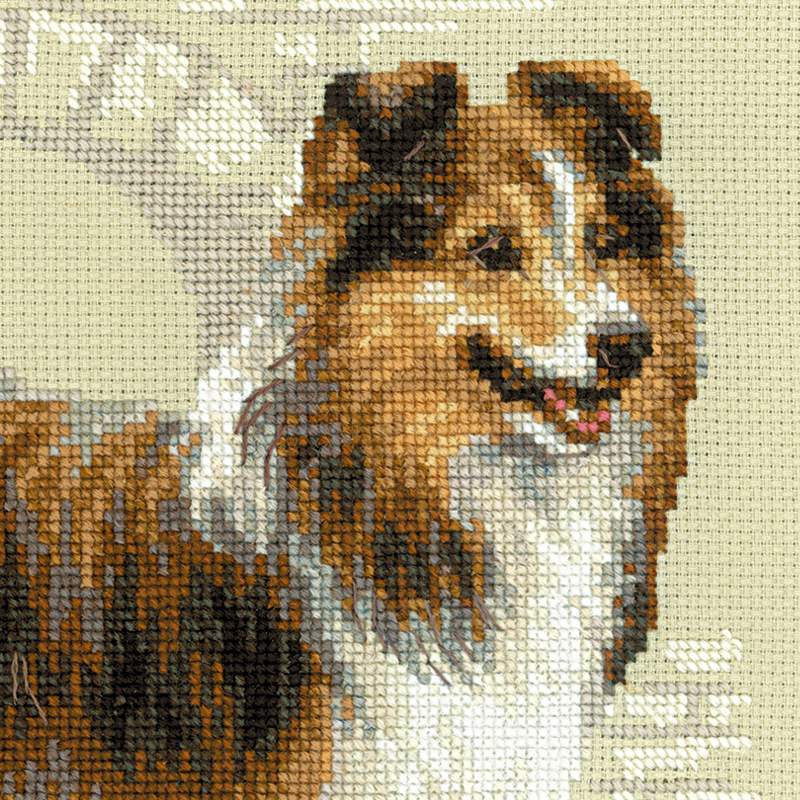 Kruissteekpakket sheltie