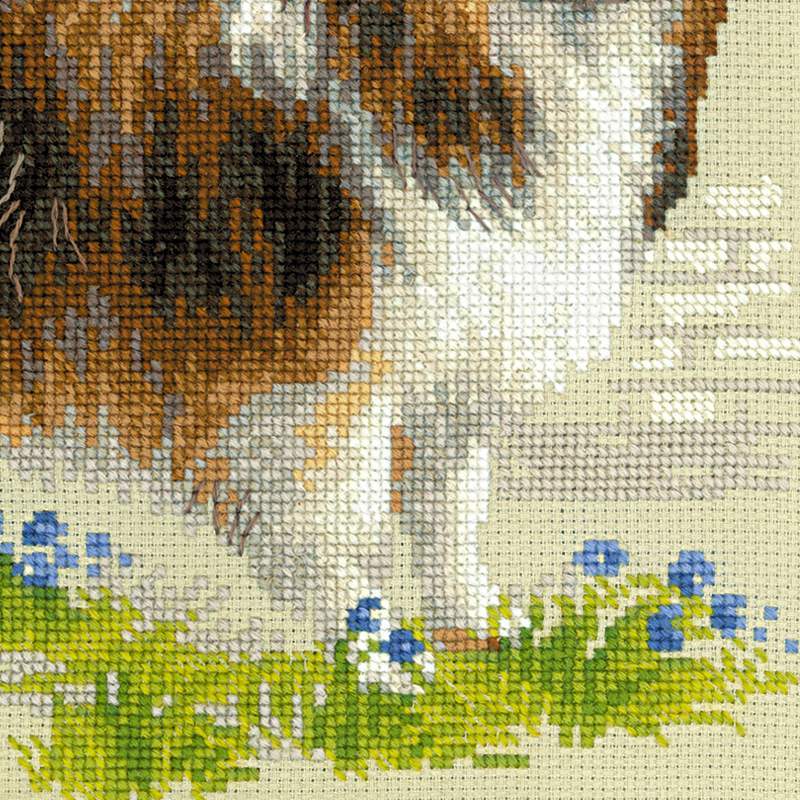 Kruissteekpakket sheltie