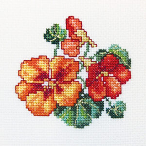 kruissteek Nasturtium