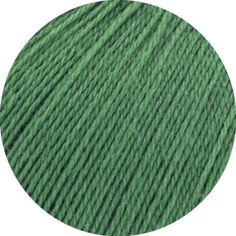 lg cool wool lace groen 39