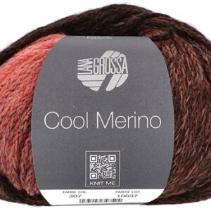 lg cool merino 307