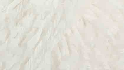 Lana Grossa Frizzante 16 Wit